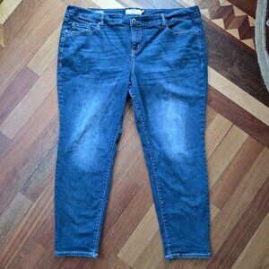 Torrid Medium Wash Faded Classic Straight Jeans Plus Size 22R
